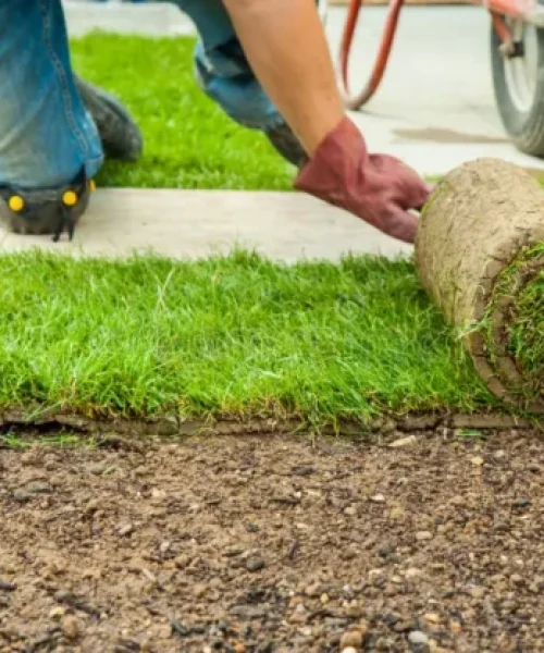 cropped-jardinera-de-jardineria-tendiendo-caldo-para-el-nuevo-cesped-poniendose-178995121.jpg.webp