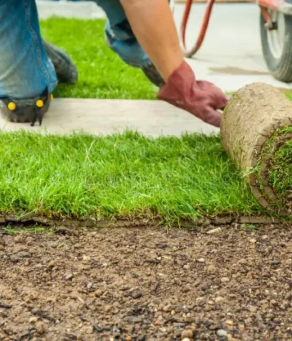 cropped-jardinera-de-jardineria-tendiendo-caldo-para-el-nuevo-cesped-poniendose-178995121.jpg.webp